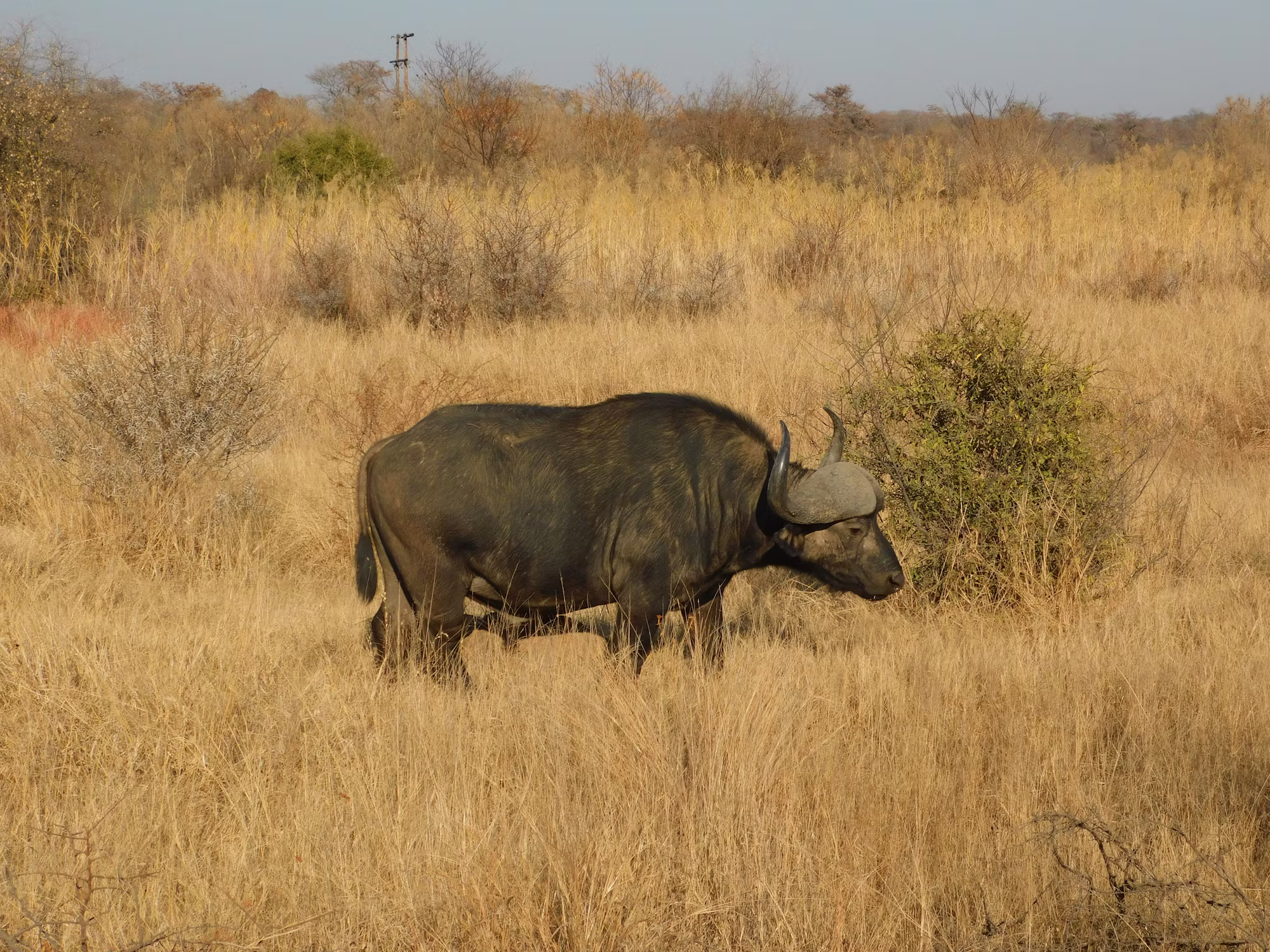 The Art of Game Design: Crafting Immersive Experiences